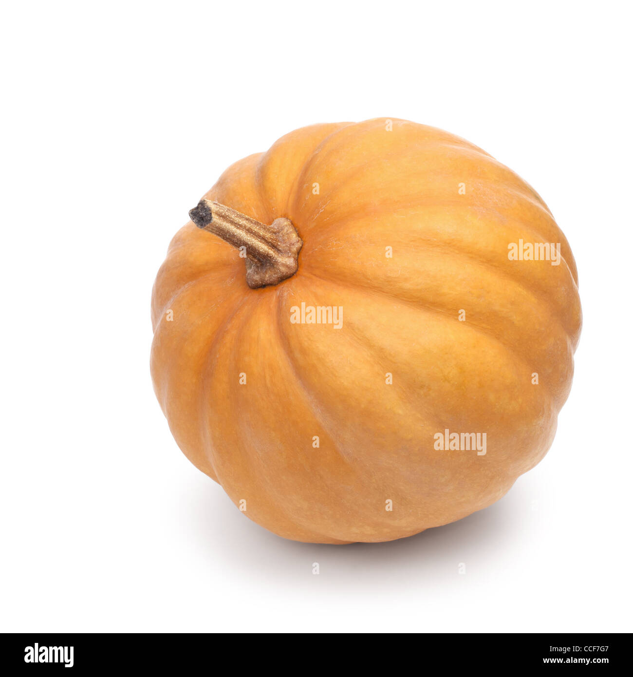 Pumpkin isolated on white background Stock Photo - Alamy