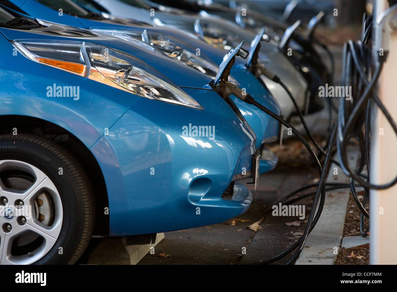 All electric Nissan Leaf cars charging. Stock Photo