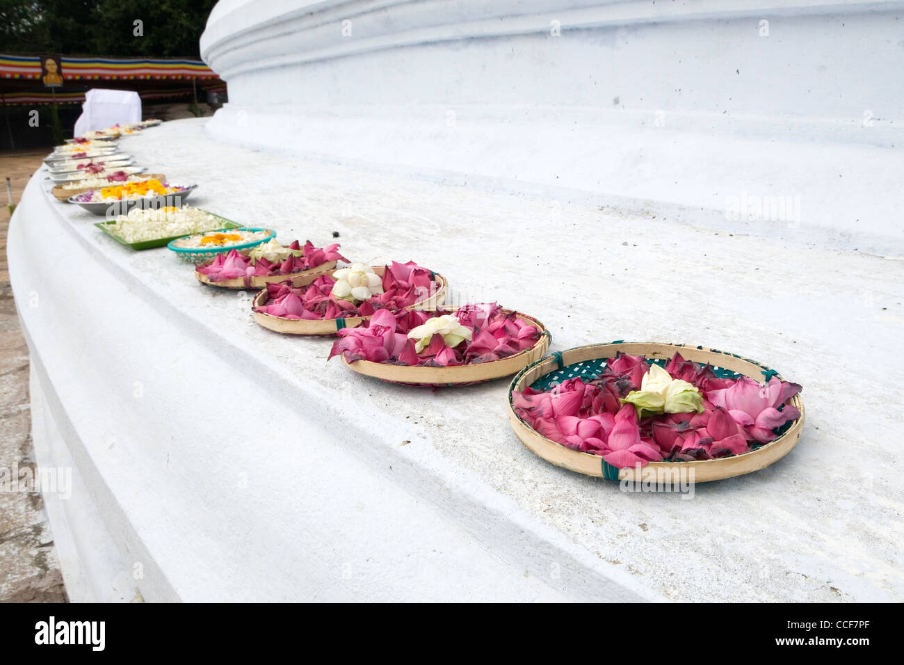 Flower offerings at Mirisavatiya Dagoba, Anuradhapura, Sri Lanka Stock Photo