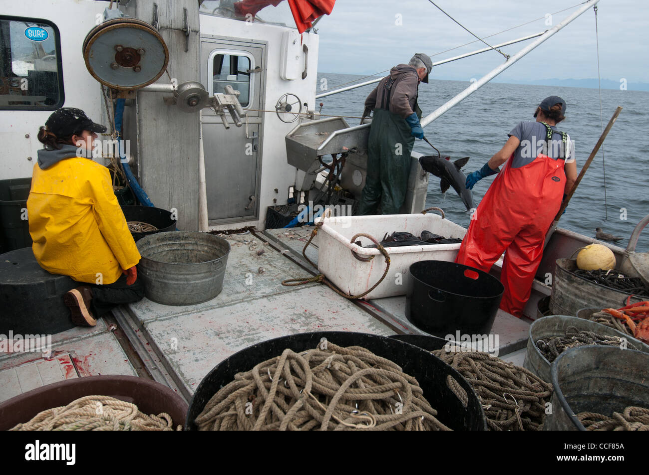 Black Cod (Sablefish) fishing, Sitka, Alaska Stock Photo - Alamy