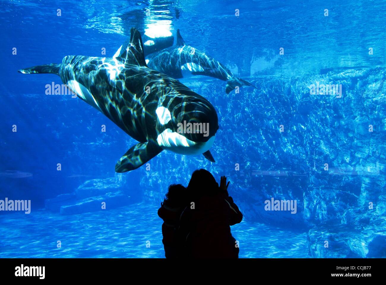 2010 orlando hi-res stock photography and images - Alamy