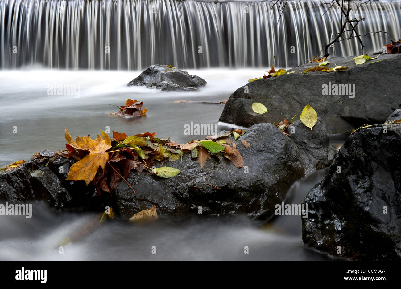 Nov. 4, 2010 Roseburg, Oregon, U.S Fall leaves and streaming water