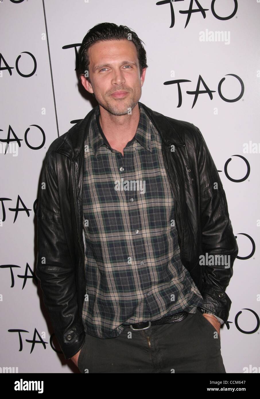 Ashley hamilton hires stock photography and images Alamy