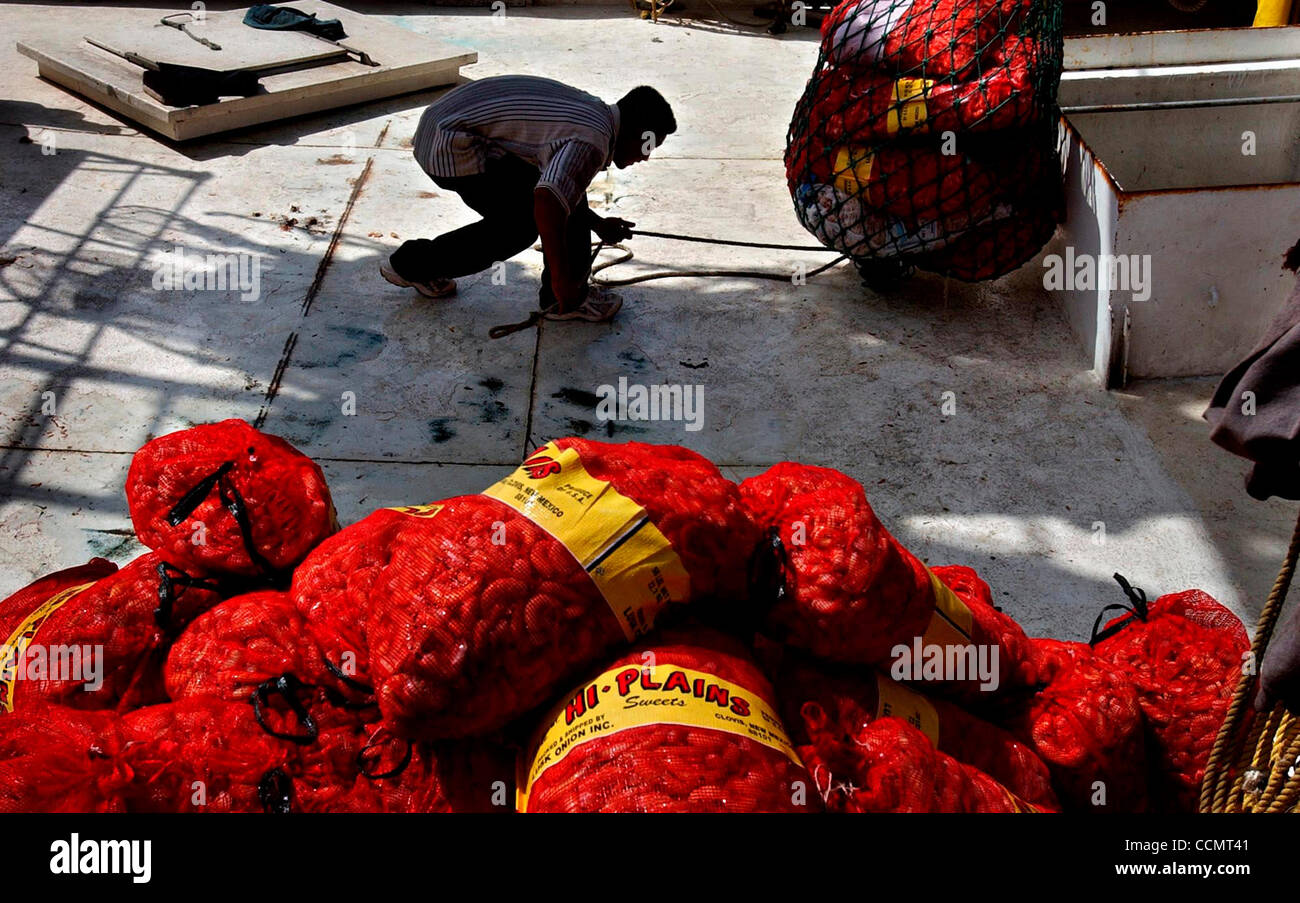 Jun 18, 2004; Brownsville, TX, USA; VICTOR VALDEZ unloads Louisiana Gulf shrimp from the shrimp boat Lancero in the Port of Brownsville. On July 6, 2004, Gulf Coast shrimpers scored a victory when the Commerce Department proposed duties on foreign shrimp. The Texas Shrimp Season begins July 15. Stock Photo