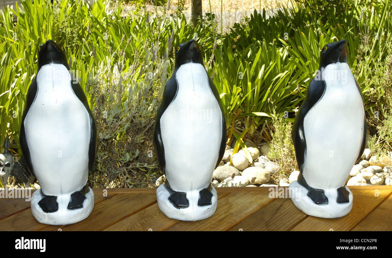 Photo of some lawn penguins outside the house of Kitty O'Neil of Orinda Calif., to go with a book she and her sister Kitty O'Neil who lives on the Peninsula, wrote called 'Decorating with Funky Shui' to take us away from the seriousness of all the other feng shui stuff we're innundated with.  (DAN R Stock Photo