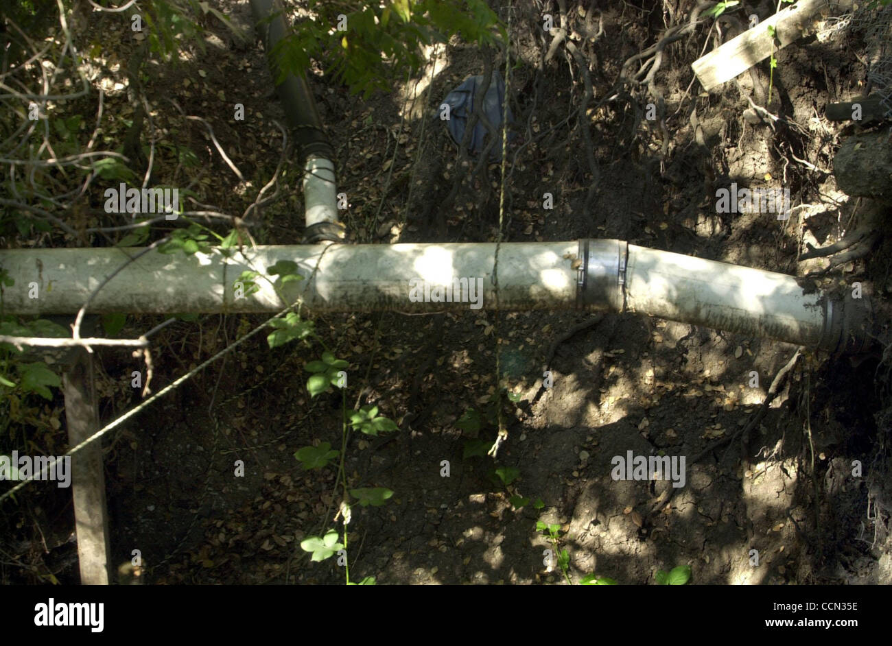 An exposed sewer line held with rope is shown near a Millsmont creek in