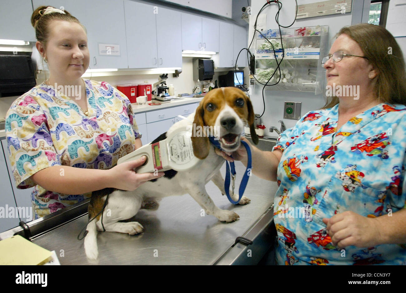 080604 Suburban Palm Beach County Metro Animal Shelter Palm Beach County Animal Care And Control Veterinary Technicians Cathy Brandow L And Candace Thompson Scan Max For A Microchip At The Animal Shelter