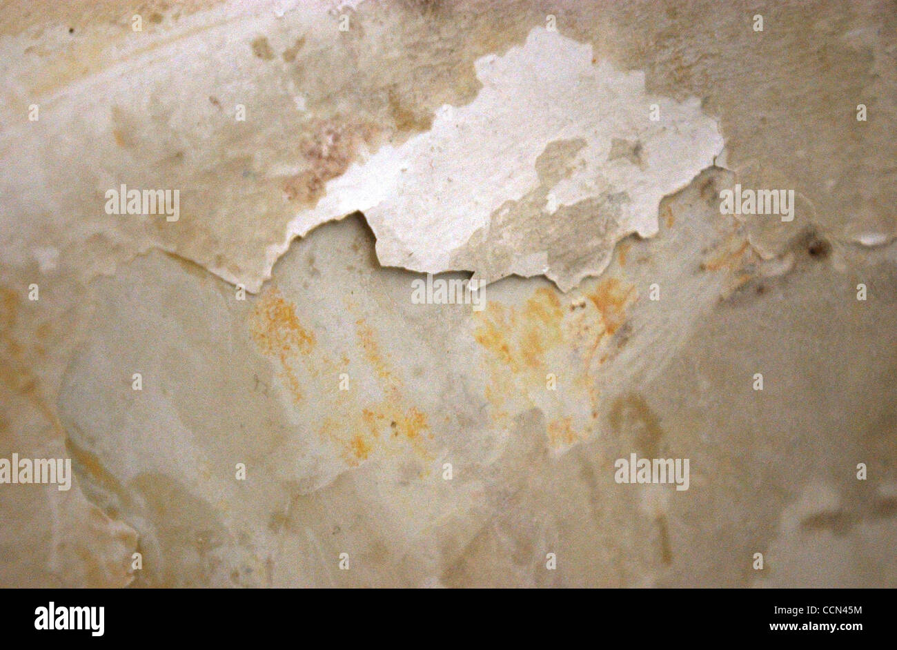 METROA bathtub at Alazan Apache Courts similar to the bathtub Andrew