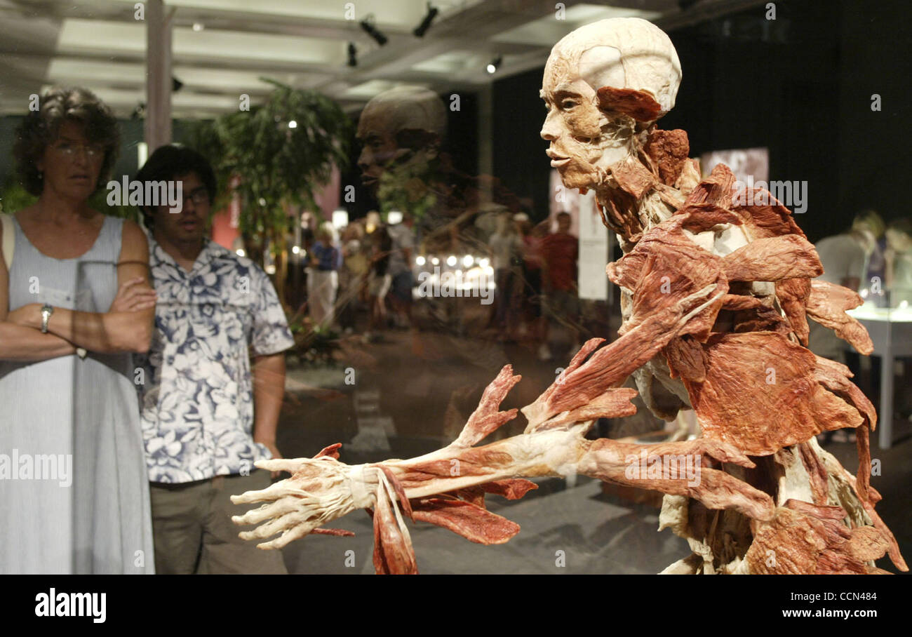 Aug 10, 2004; Los Angeles, CA, USA; Visitors view the BODY WORLDS exhibit displayed at the California Science Center, the largest traveling exhibition ever covering 20,000 square feet. Until recently the privilege of viewing corpses and the human bodys interior has been confined to medical students  Stock Photo