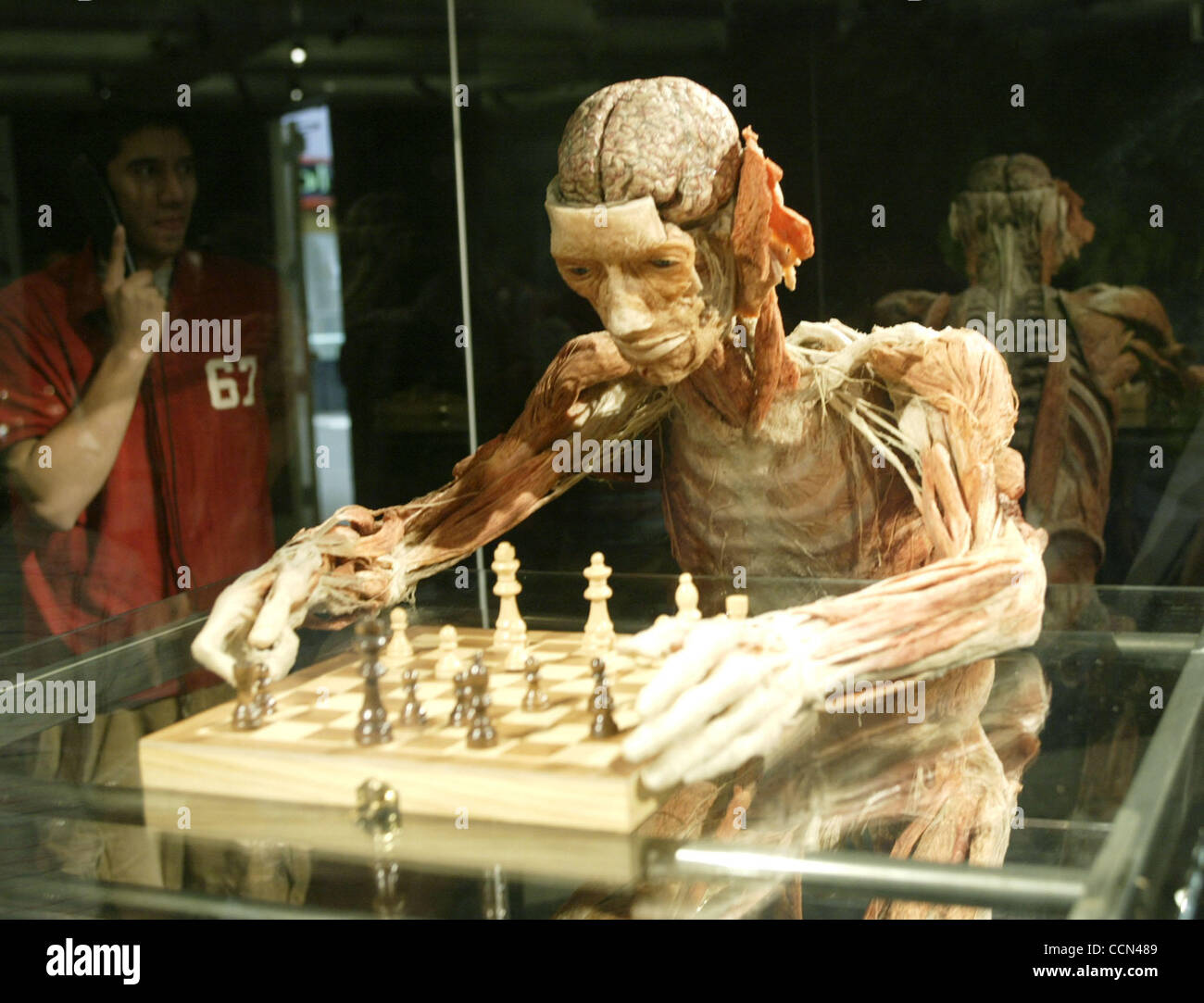 Aug 10, 2004; Los Angeles, CA, USA; Visitors view the BODY WORLDS exhibit  displayed at the California Science Center, the largest traveling exhibition  ever covering 20,000 square feet. Until recently the privilege