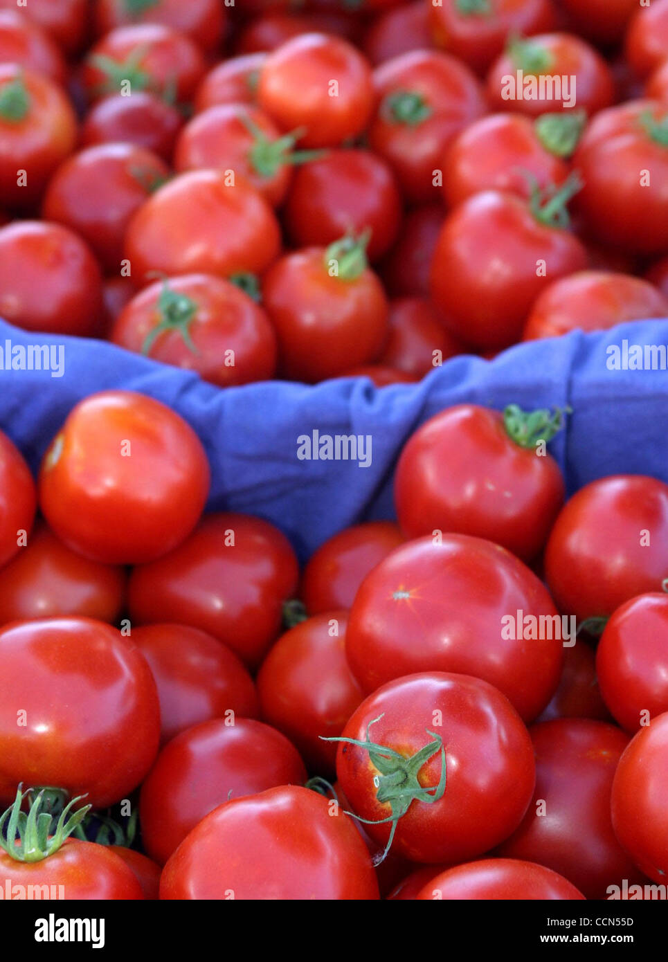 Early Girl tomatoes from Brookside Farms at the Brentwood Farmers