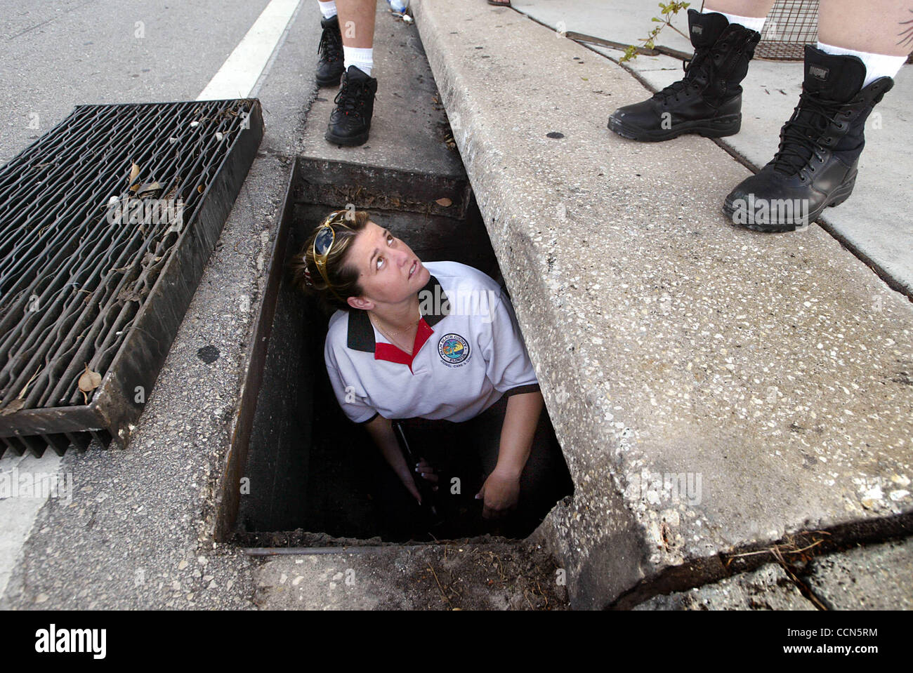 081604 met cat--West Palm Beach--Palm Beach County Animal Care and Control officer Michele James, peers out of a drain along South Dixie Hwy at the intersection of Pine Terrace looking for a 081604 met cat--West Palm Beach--Palm Beach County Animal Care and Control officer Michele James, peers out of a drain along South Dixie Hwy at the intersection of Pine Terrace looking for a