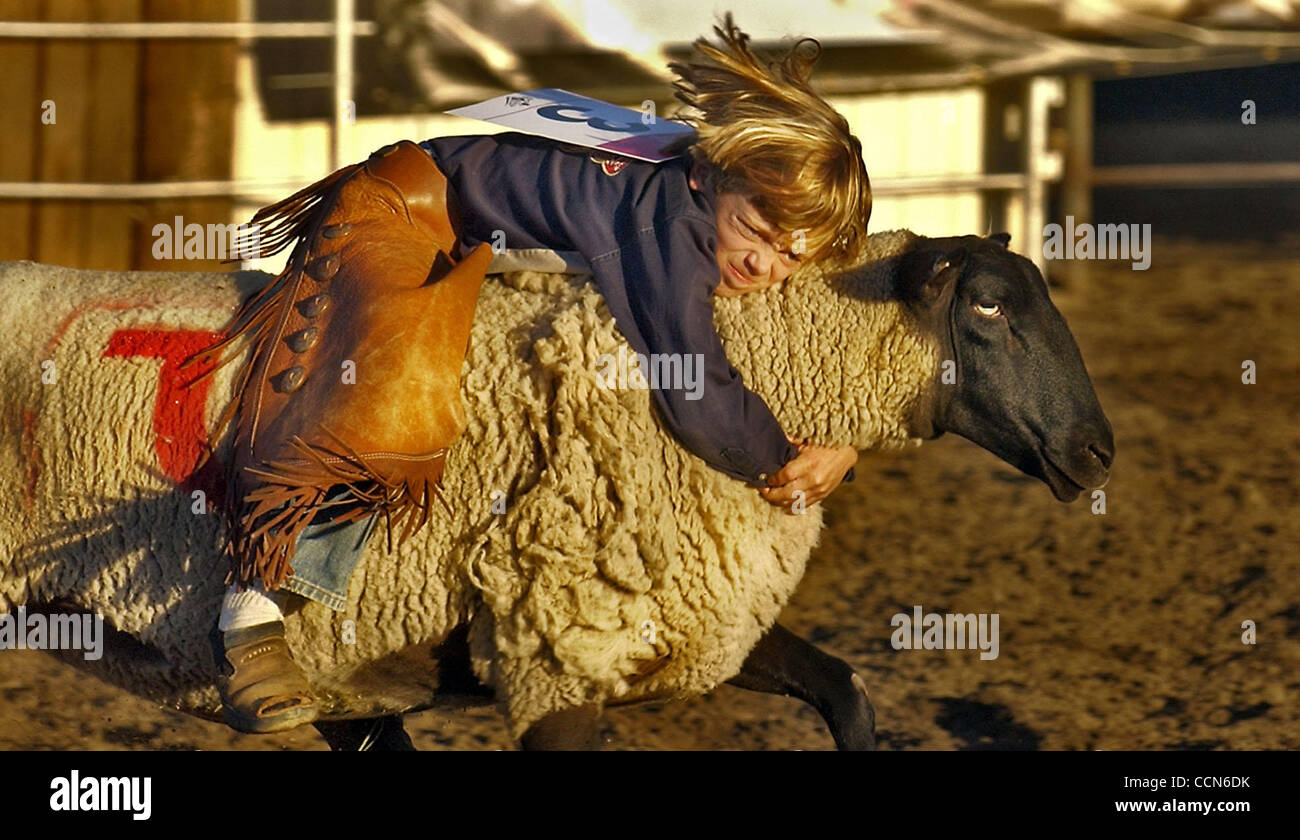MC POSTCARDS 27AUG.07: FOR ONLINE USE Young sheep rider Roper Kiesner ...