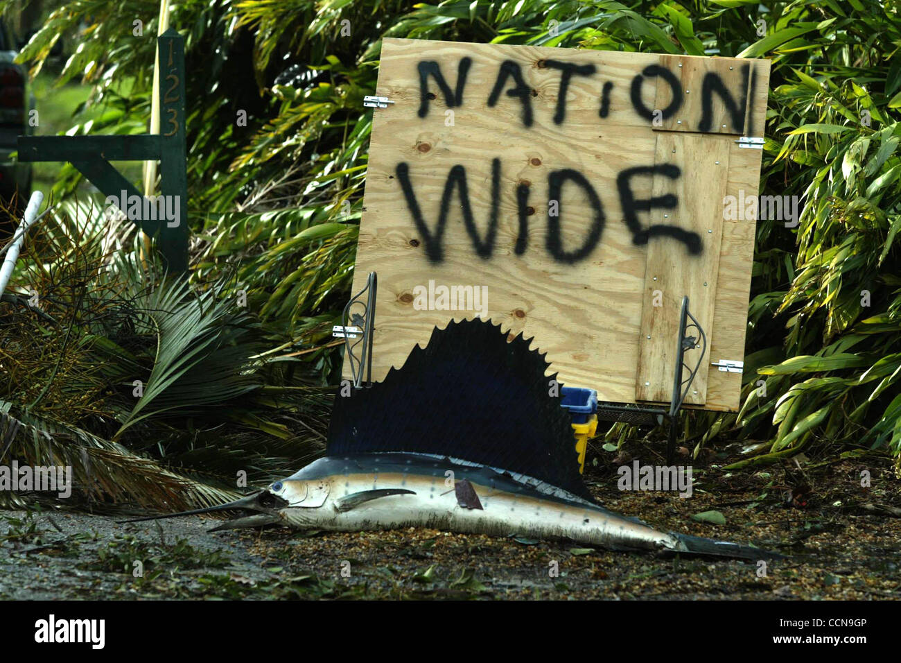 090604 TC MET Sewell's Point...At 123 South Sewell's Point Rd., the residence of Victoria and Matt McGrath advertises their insurance company and a victim of Hurricane Frances:  a mounted sailfish that used to hang in their garage: flooded by the hurricane.  Photo by David Spencer/The Palm Beach Pos Stock Photo