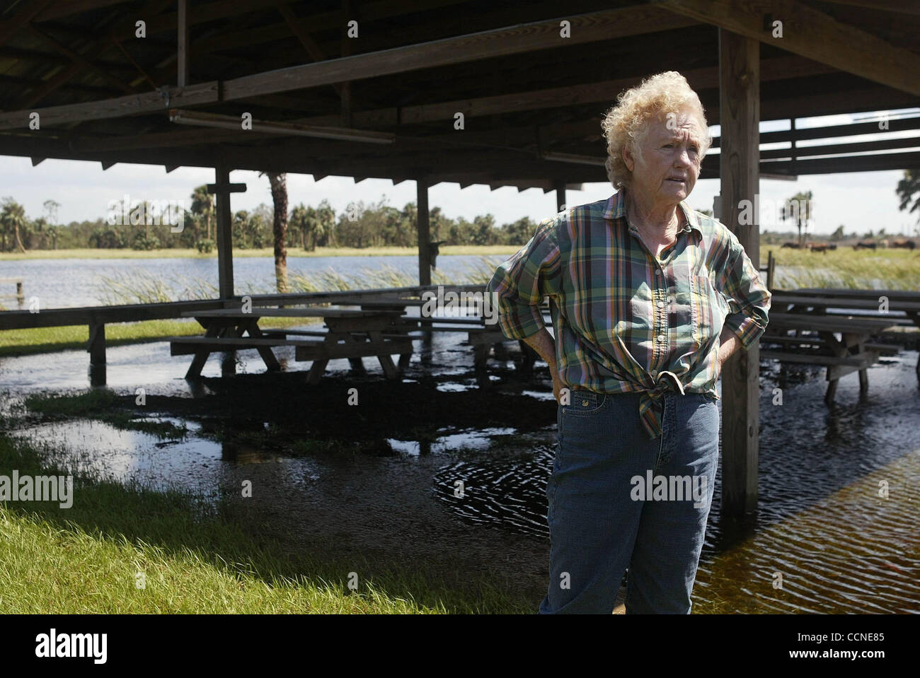 092704 tj hur jeanne e -- Staff photo by Taylor Jones/09-27-04. INDIANTOWN, FL. FOR RACHEL HARRIS' STORY. Iris Wall(cq), 75, stands under a pavilion on her flooded 1,200 acre ranch in Indiantown. Hurricane Jeanne flooded the ranch. Wall believes runoff and pumping from nearby citrus groves made it w Stock Photo