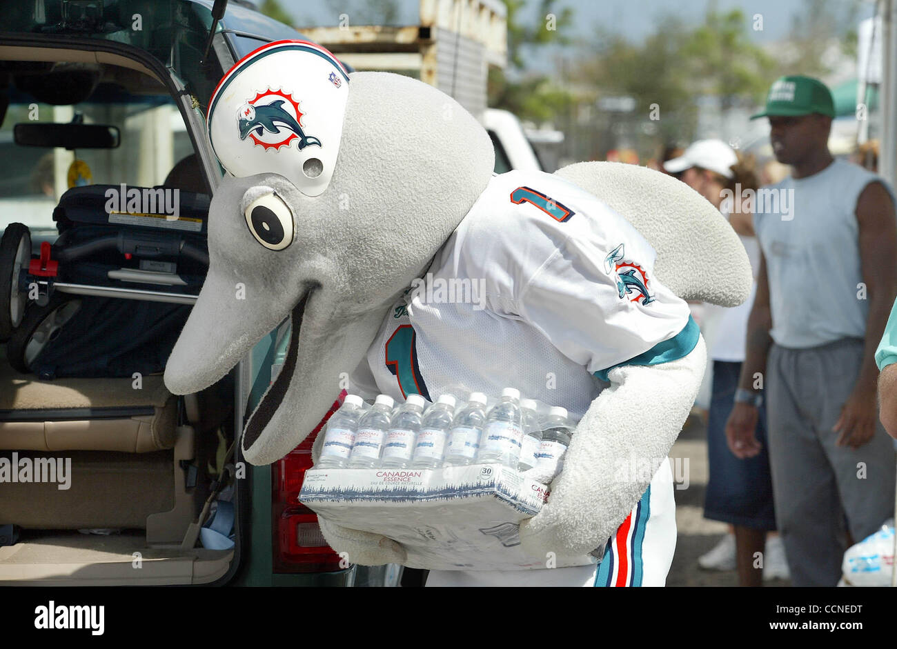 miami dolphins christmas blow up
