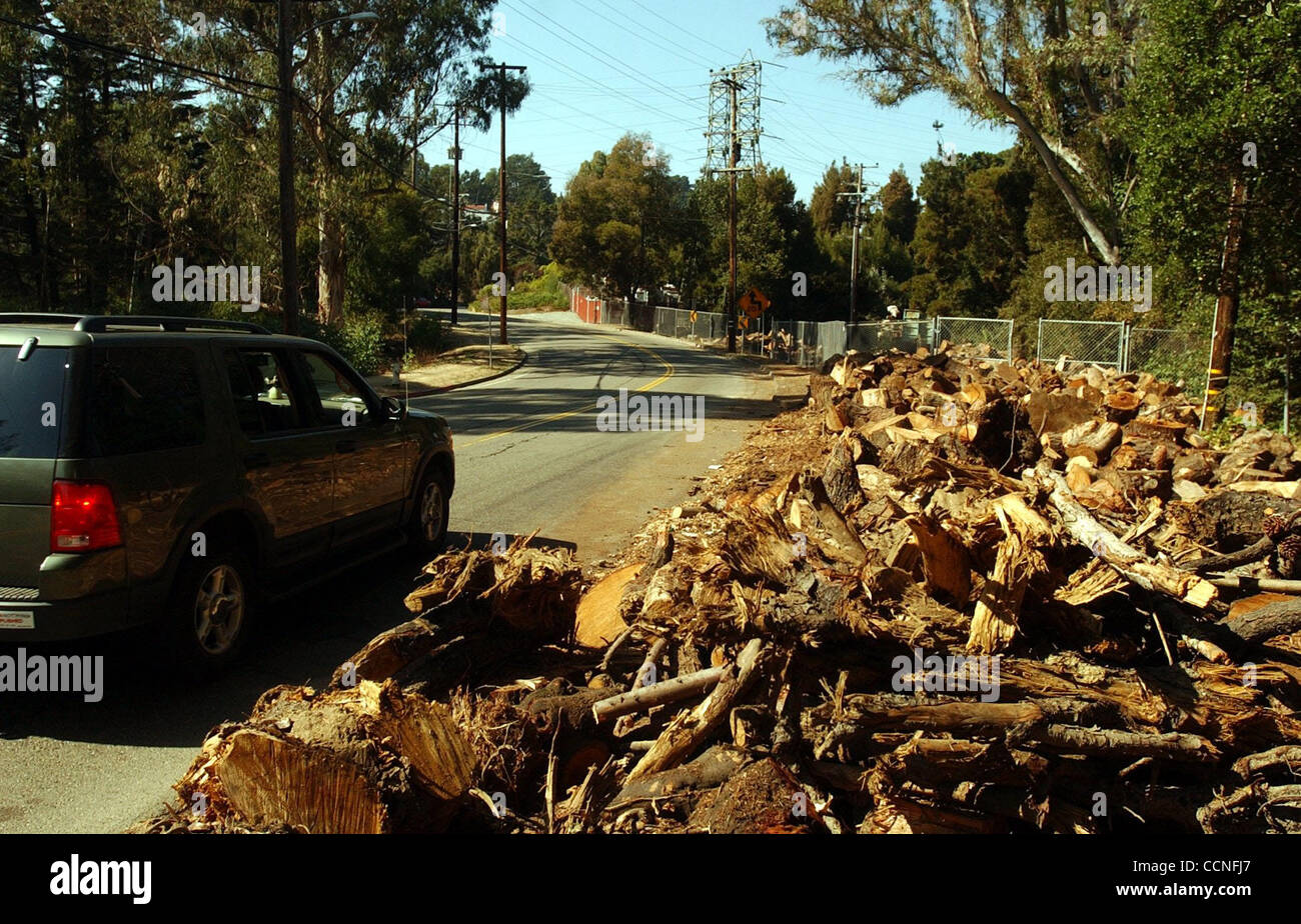 An illegal but casual wood dumping site near the Montclair Golf Course