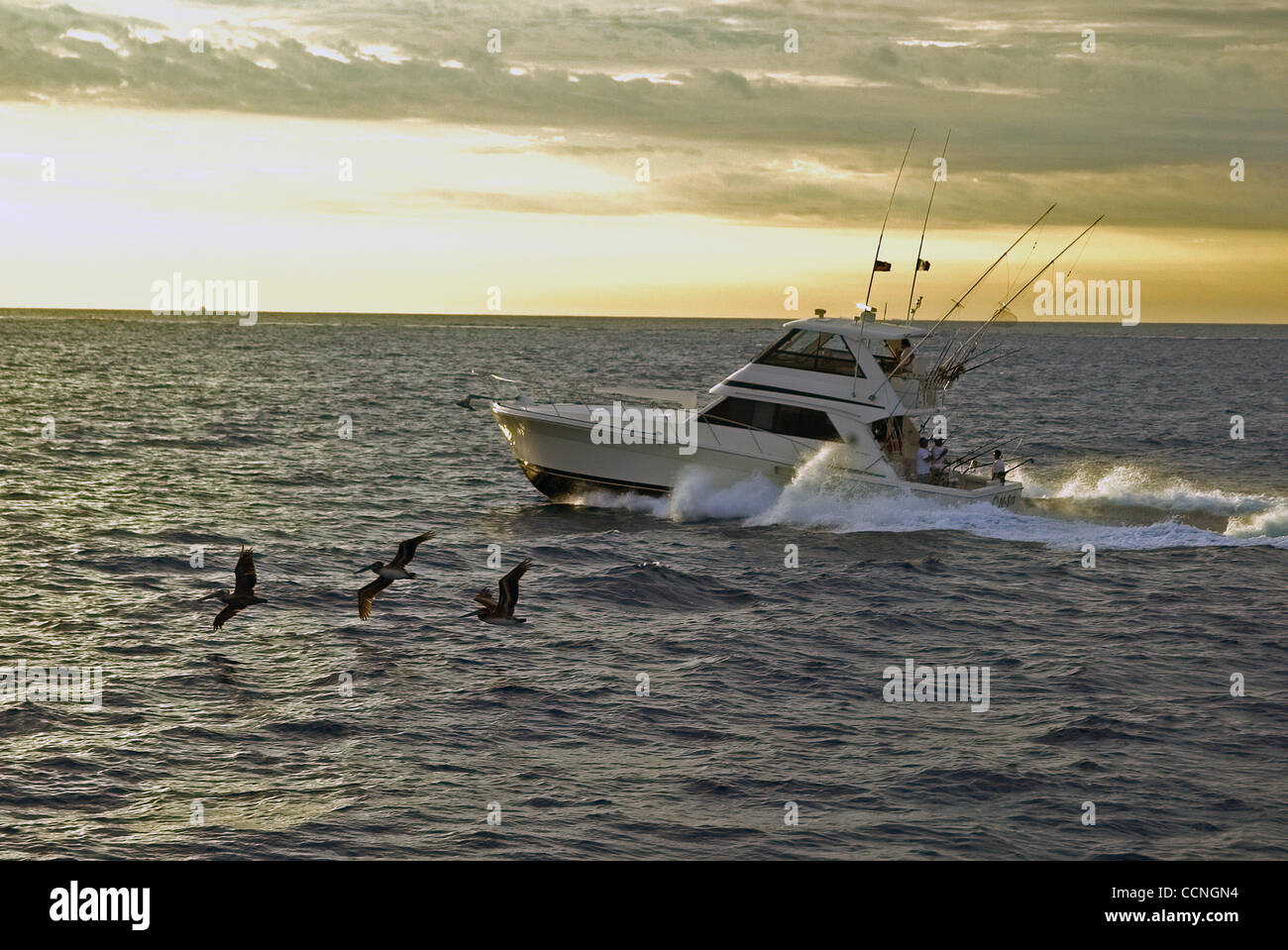 Auto Exotica-Bisbee's Black&Blue Marlin Tournament Oct 19-23-2004