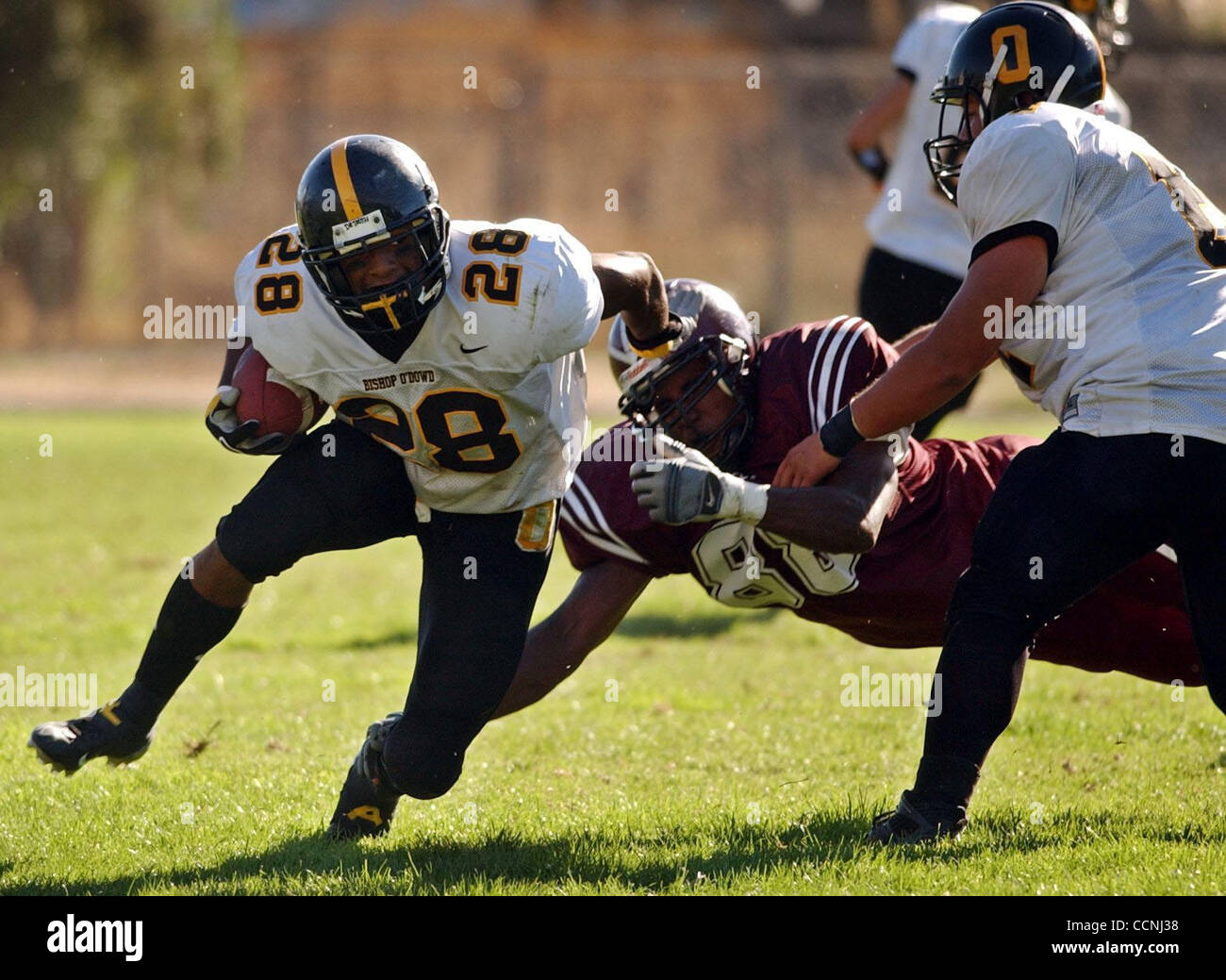 Bishop O'Dowd's Louis Arnold, Jr. (28) escapes San Lorenzo's Ratu Rabelo's (88) tackle in the first quarter of Friday's game, Oct. 8, 2004 in San Lorenzo, Calif. The Dragons won 42-6. (Contra Costa Newspapers/Joanna Jhanda) Stock Photo