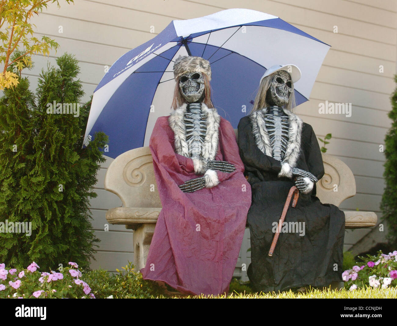 On Brightwood Circe near Leafield Road, this couple were found dressed for the season and prepared for the recent weather on Wednesday, October 20, 2004, in Danville, Calif. (Contra Costa Times/Susan Tripp Pollard) Stock Photo