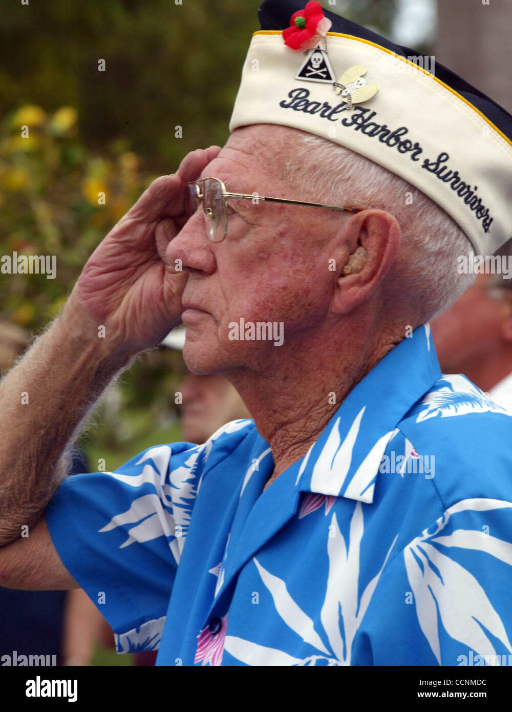 DELRAY Veterans Day remembrance ceremony at Delray Beach Memorial Gardens. Here, Harold Day, 83 (cq), who was a member of the 31st bomber squad, the oldest still-active unit in the U.S. military, according to Mr. Day, who is himself a Pearl Harbor survivor, salutes his fallen comrades.   Staff Photo Stock Photo