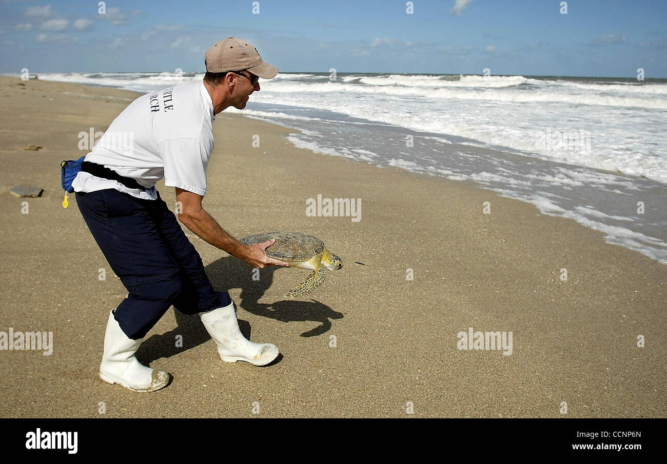 Nuclear Infested Turtle St lucie nuclear power plant hi-res stock photography and images - Alamy
