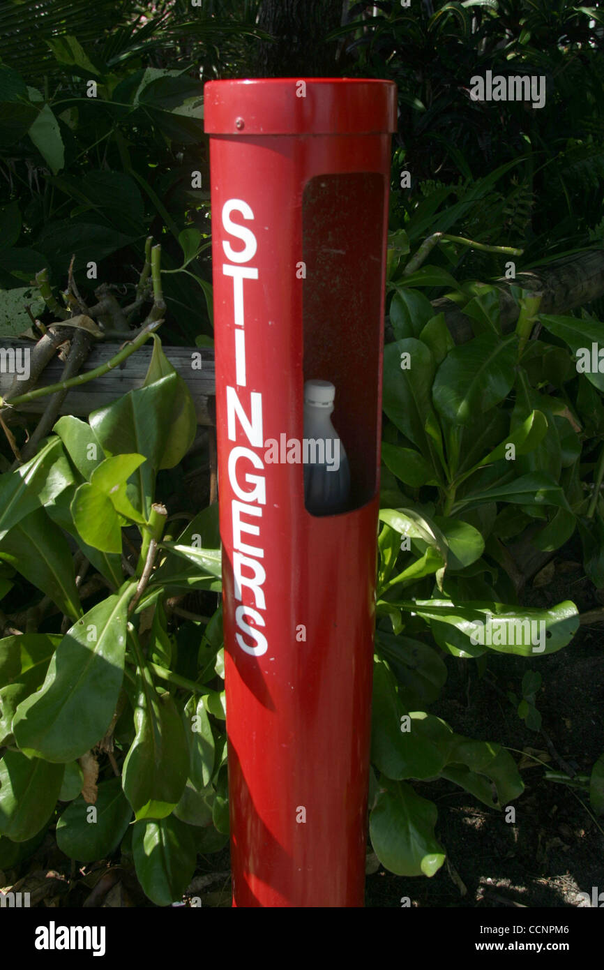 Box jellyfish australia hires stock photography and images Alamy