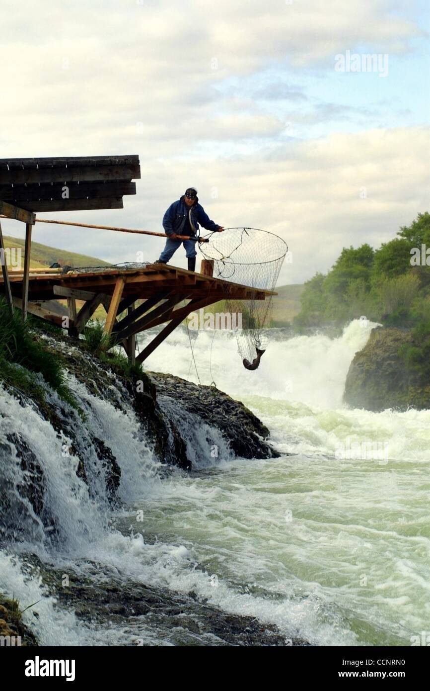 May 15, 2003 - Maupin, Oregon, U.S. - Warm Springs Indian ROBERT CHARLEY  Sr., greets the sunrise with the catching of a chinook from the Deschutes River near Shearers Falls outside of Maupin. Their tribe still practices the age-old the art of dip netting atop wooden platforms which hang precariousl Stock Photo