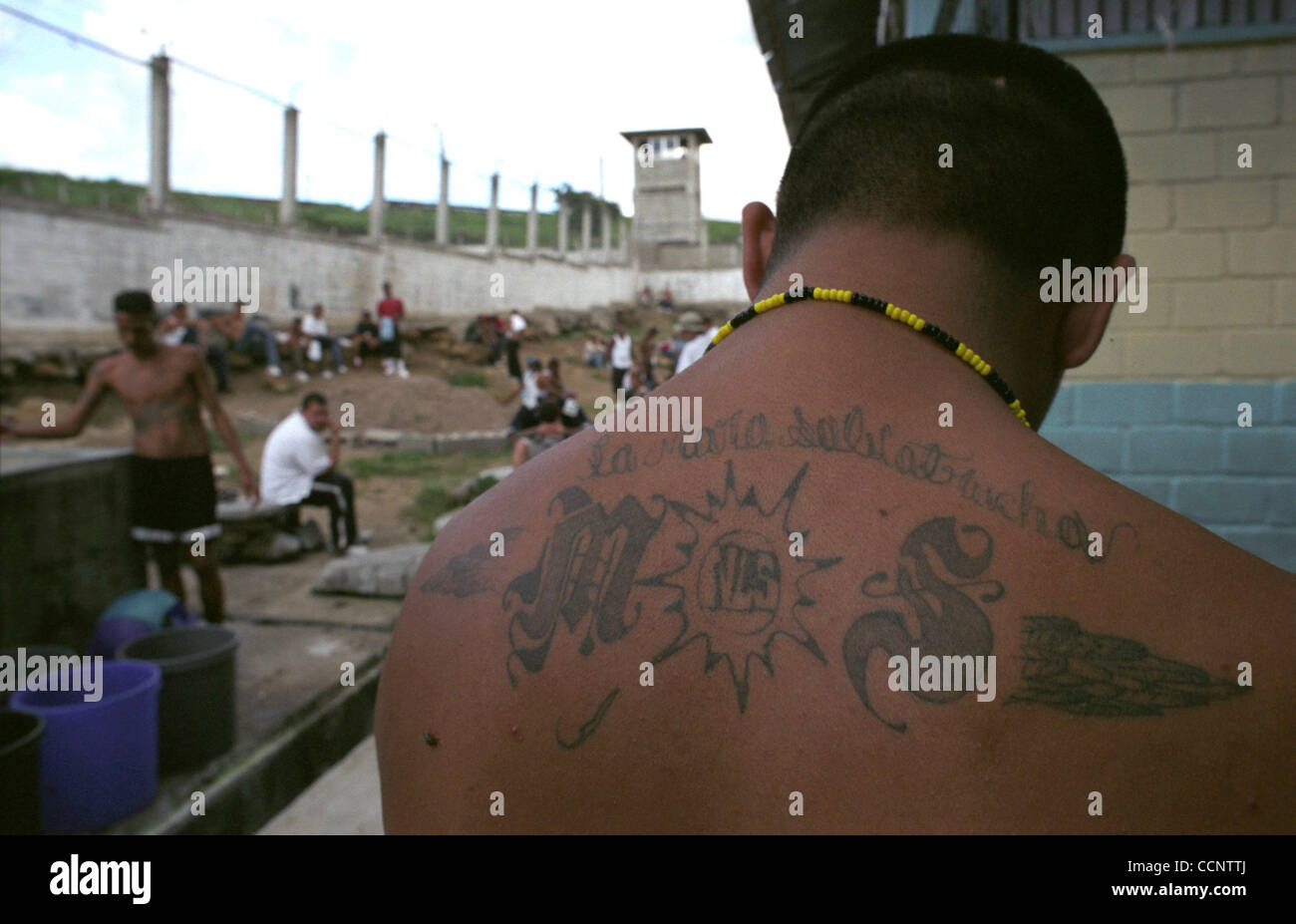After a May 2004 prison fire in San Pedro Sula, Honduras, claimed the lives of 107 members of the Mara Salvatrucha 13, surviving gang members were transferred to an overcrowded cellblock in a federal penitentiary outside Tegucigalpa, Honduras.  Photographer:  Luis J. Jimenez City: Tegucigalpa  Count Stock Photo