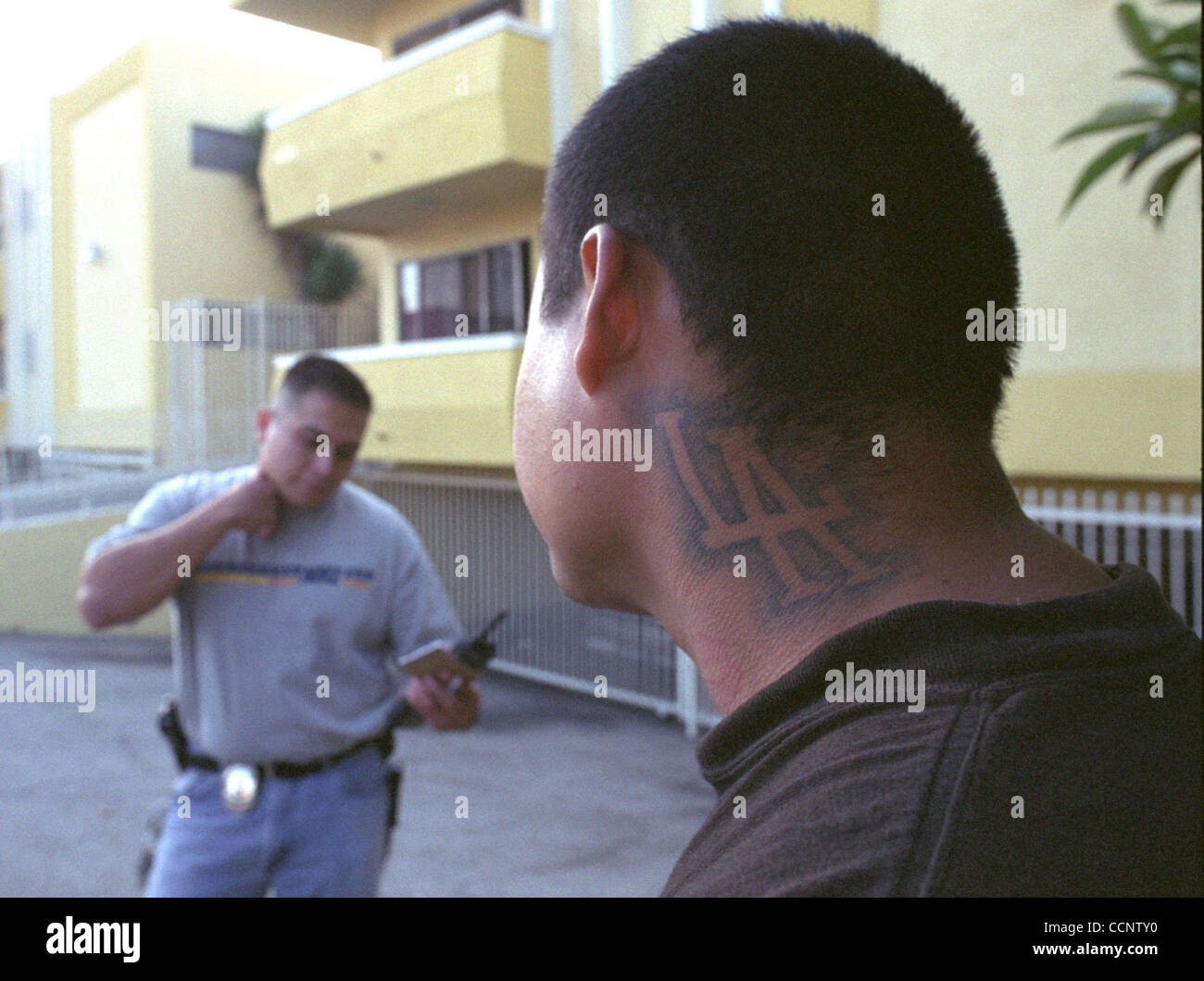 Arturo Larios, 27, (foreground) is questioned by Los Angeles police officer Frank Flores (background) in a Hollywood, California, neighborhood. Larios joined the Mara Salvatrucha 13 gang while he was living in Guatemala.  Photographer:  Luis J. Jimenez City: Hollywood State: California Country: USA  Stock Photo