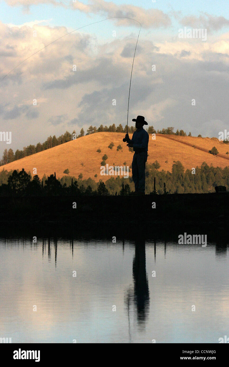 Oct. 13, 2004 Greer, Arizona, United States of America A silhouette