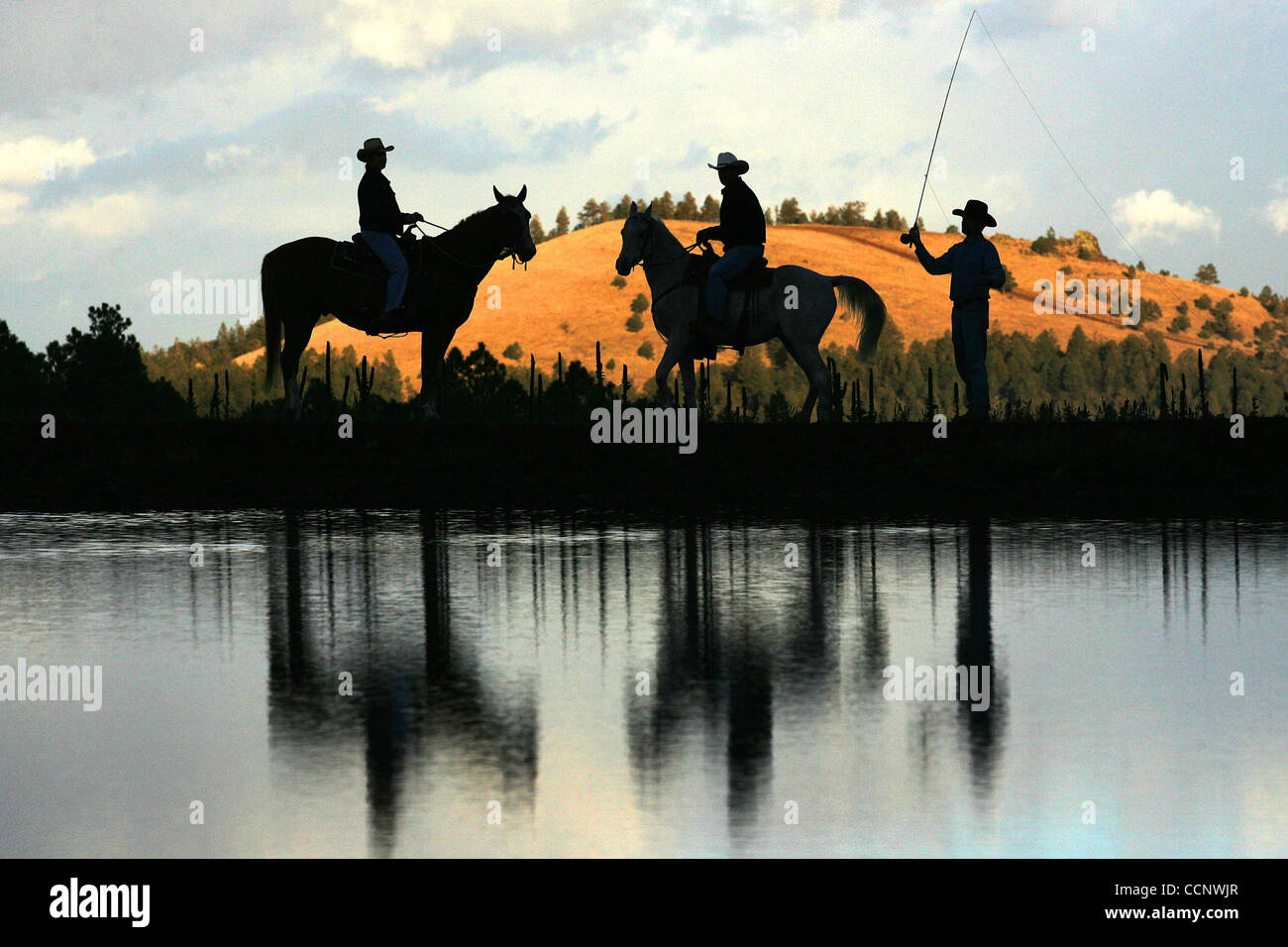 Oct. 14, 2004 Greer, Arizona, United States of America A silhouette