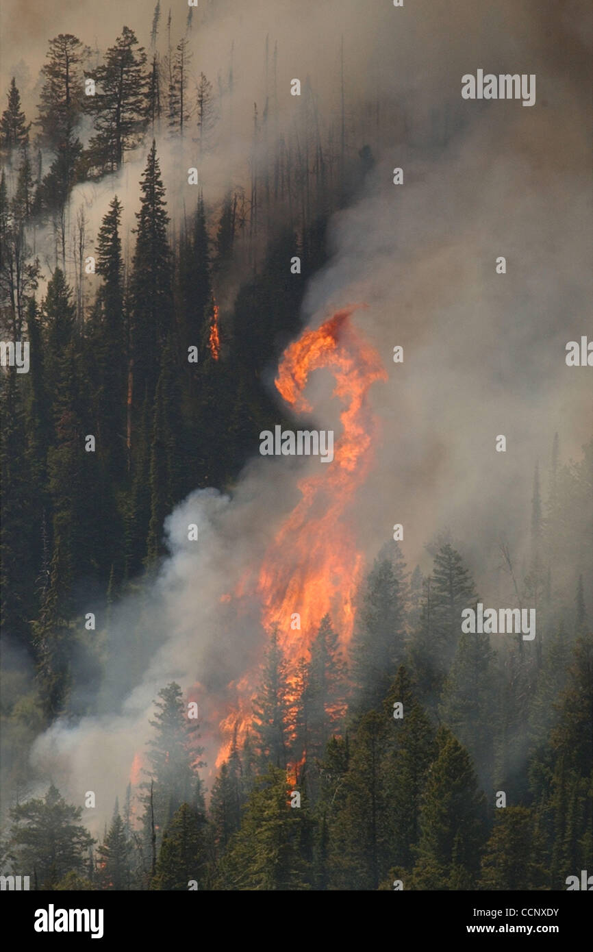 Jul 19, 2003; Polebridge, MT, USA; Smoke billows into the sky as trees ...