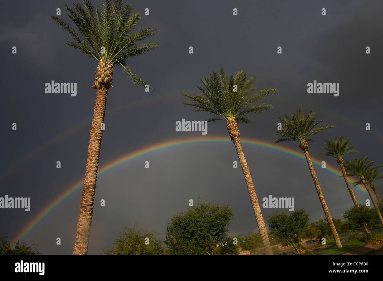 Oct. 22, 2010 Chandler, Arizona, United States of America After a