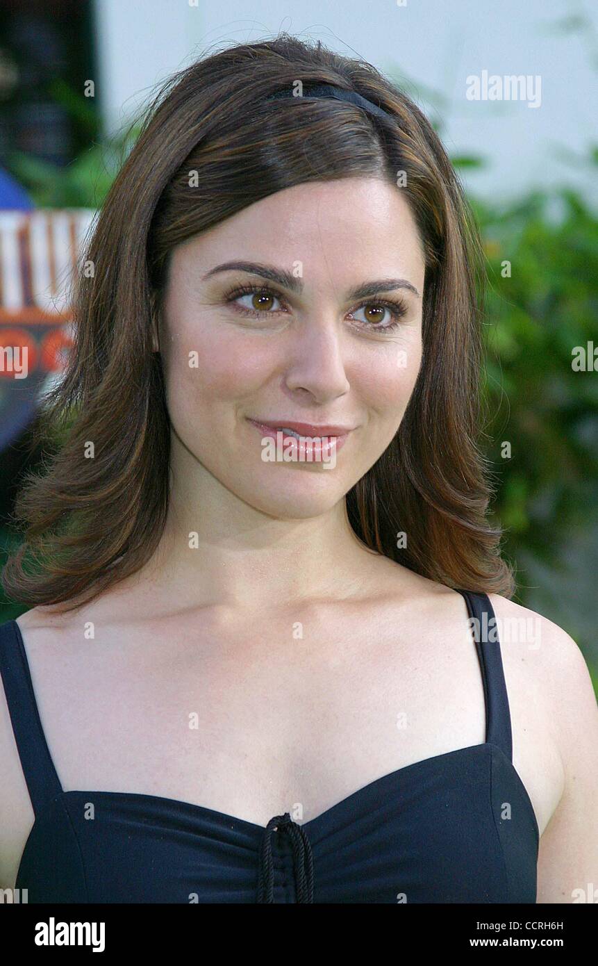 Cara Buono Hulk Celebrity Podcast