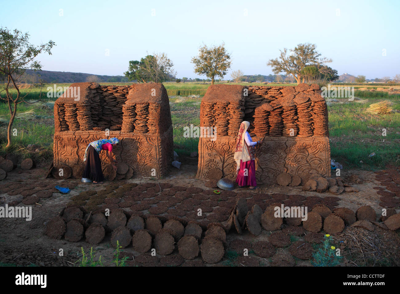 Dried cow dung used hi-res stock photography and images - Alamy