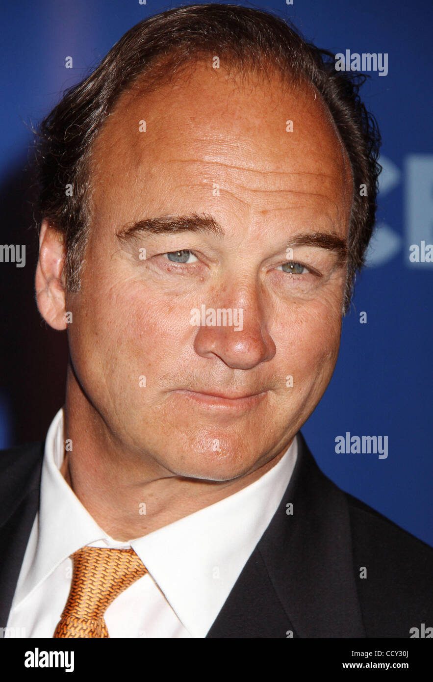 Actor JIM BELUSHI attends the CBS Upfront at the Lincoln Center Stock