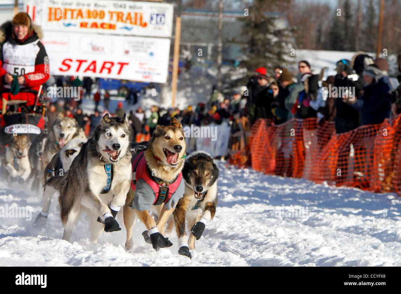 Ally Zirkle's sled dogs race down the starting chute of the Iditarod Trial Sled Dog Race during