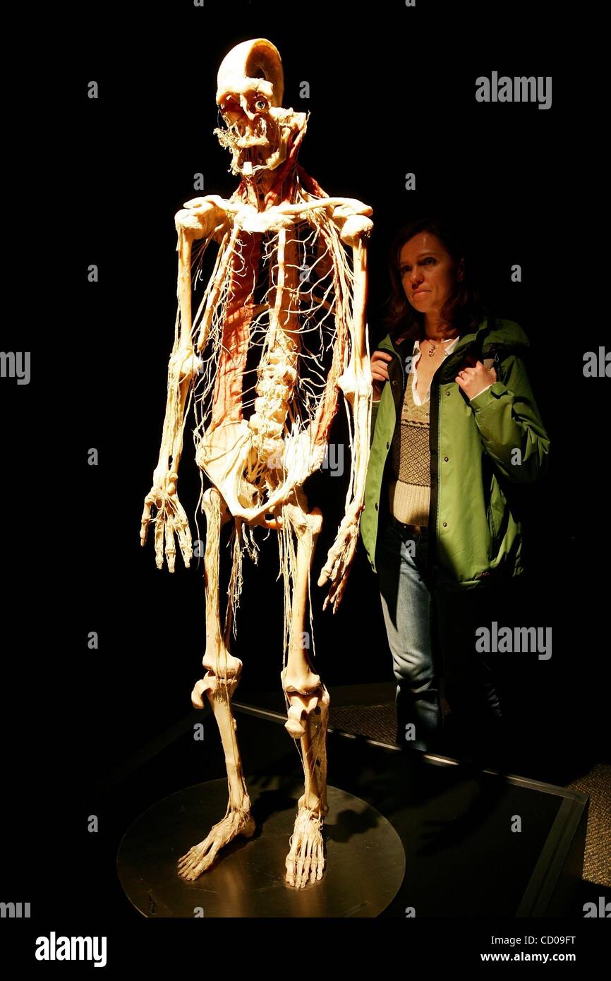 nov-22-2008-london-england-united-kingdom-german-anatomist