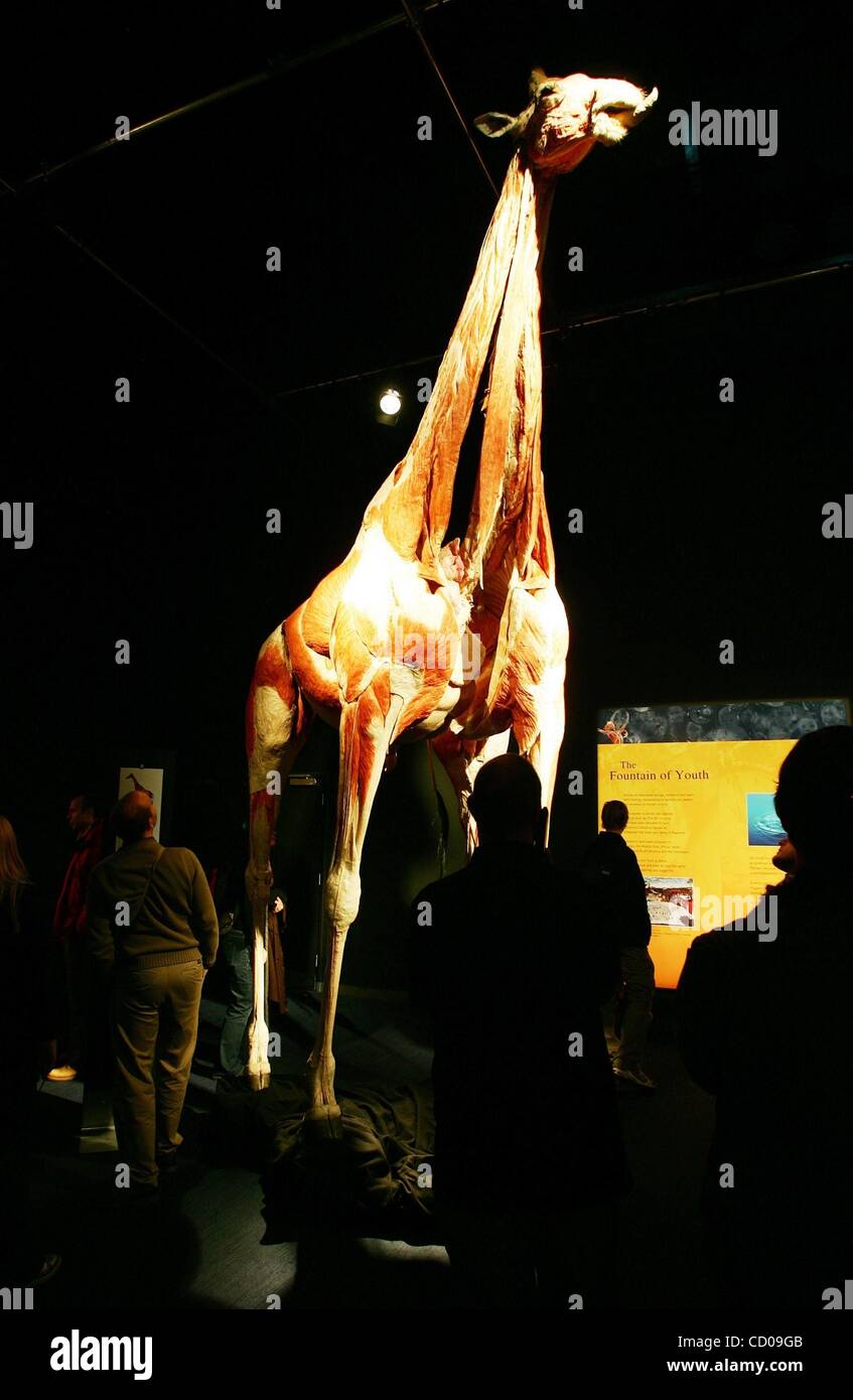 Nov 22, 2008 London, England, United Kingdom German anatomist