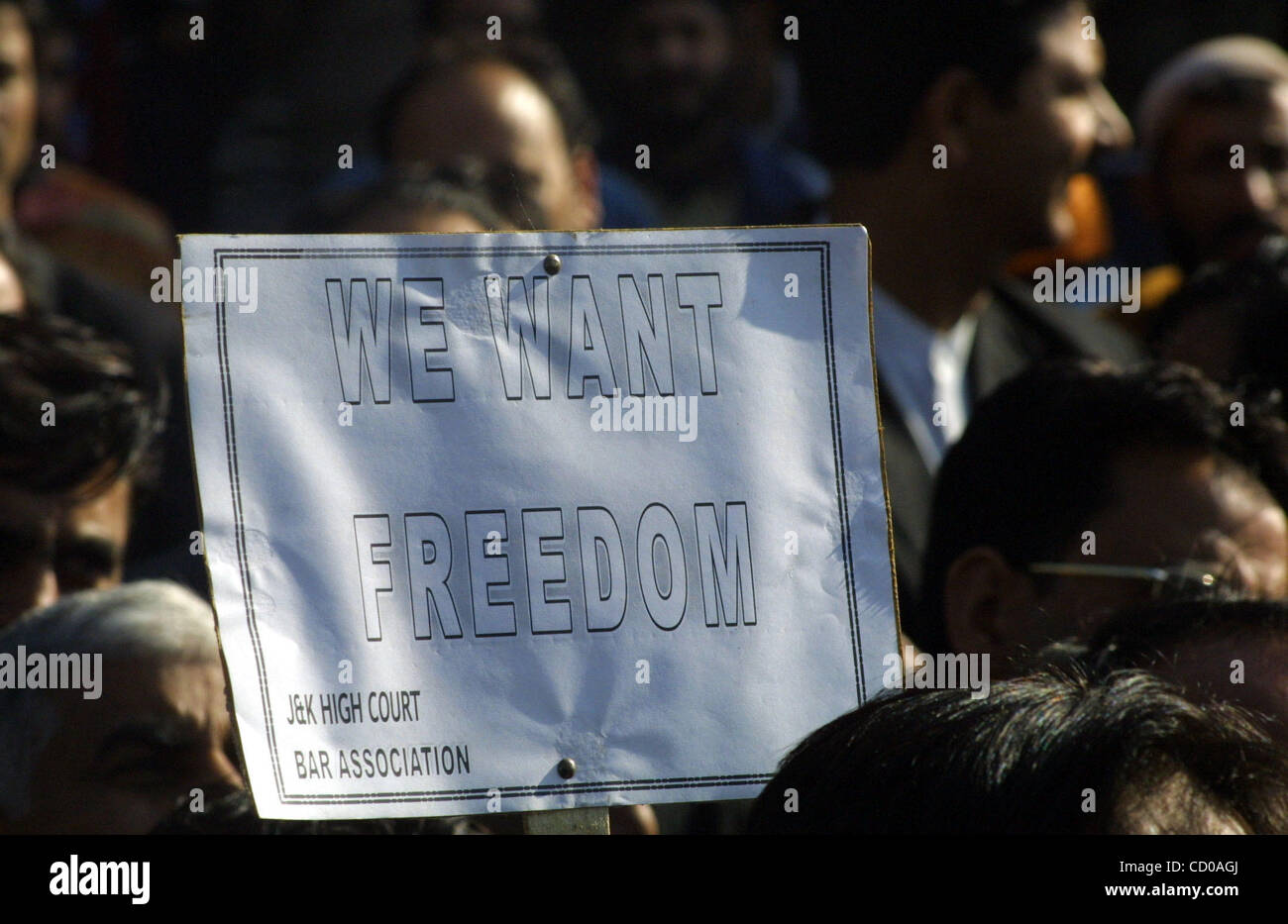 Kashmiri Muslim protesters hold placard during pro-freedom slogans ...