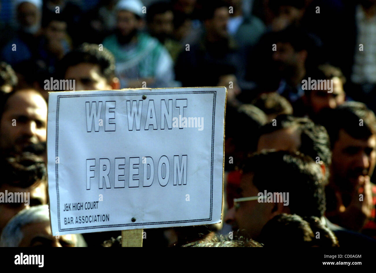 Kashmiri Muslim protesters hold placard during pro-freedom slogans ...