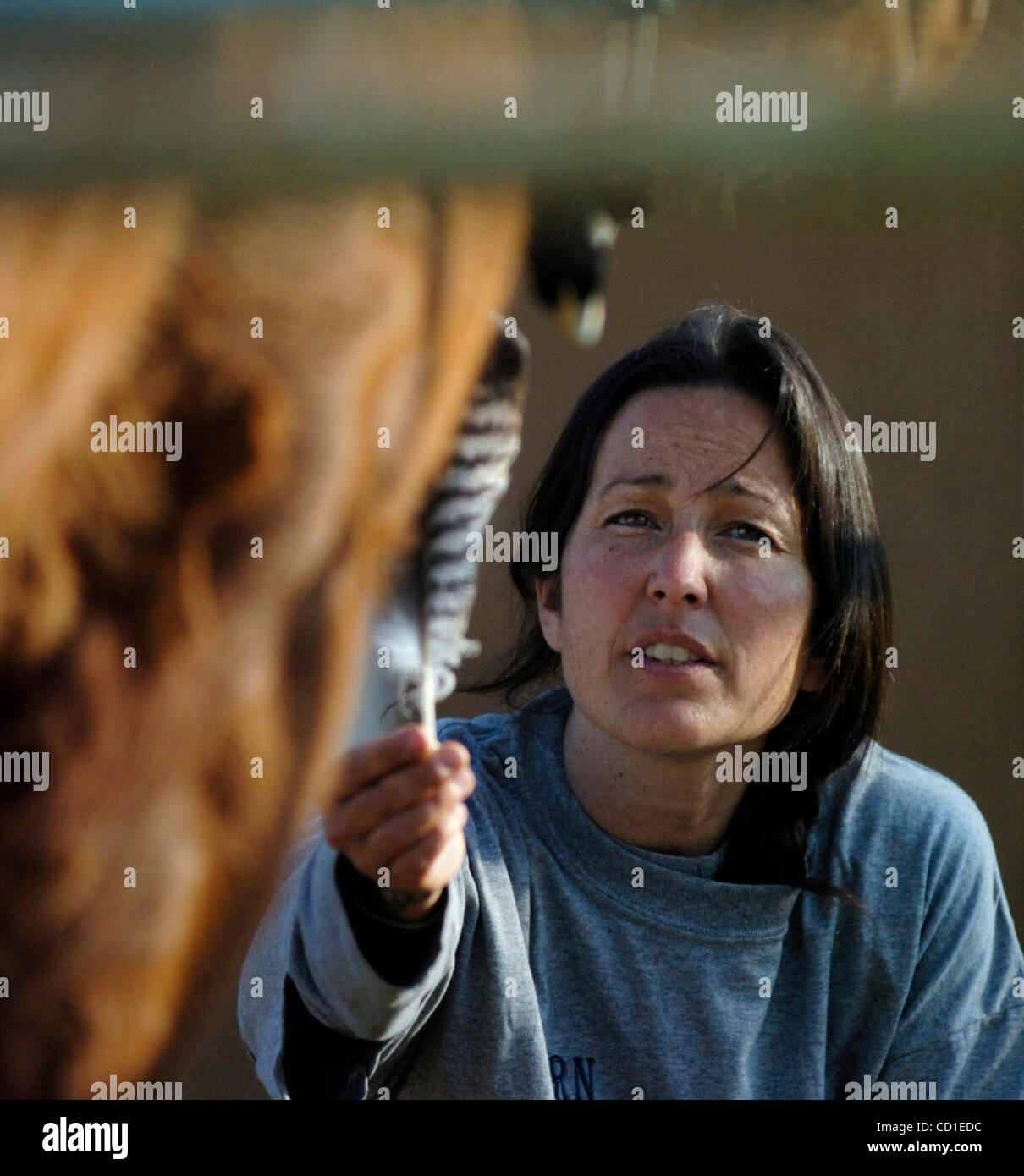 Horse whisperer, Gena Wasley, extends a hawk feather to a wild mustang
