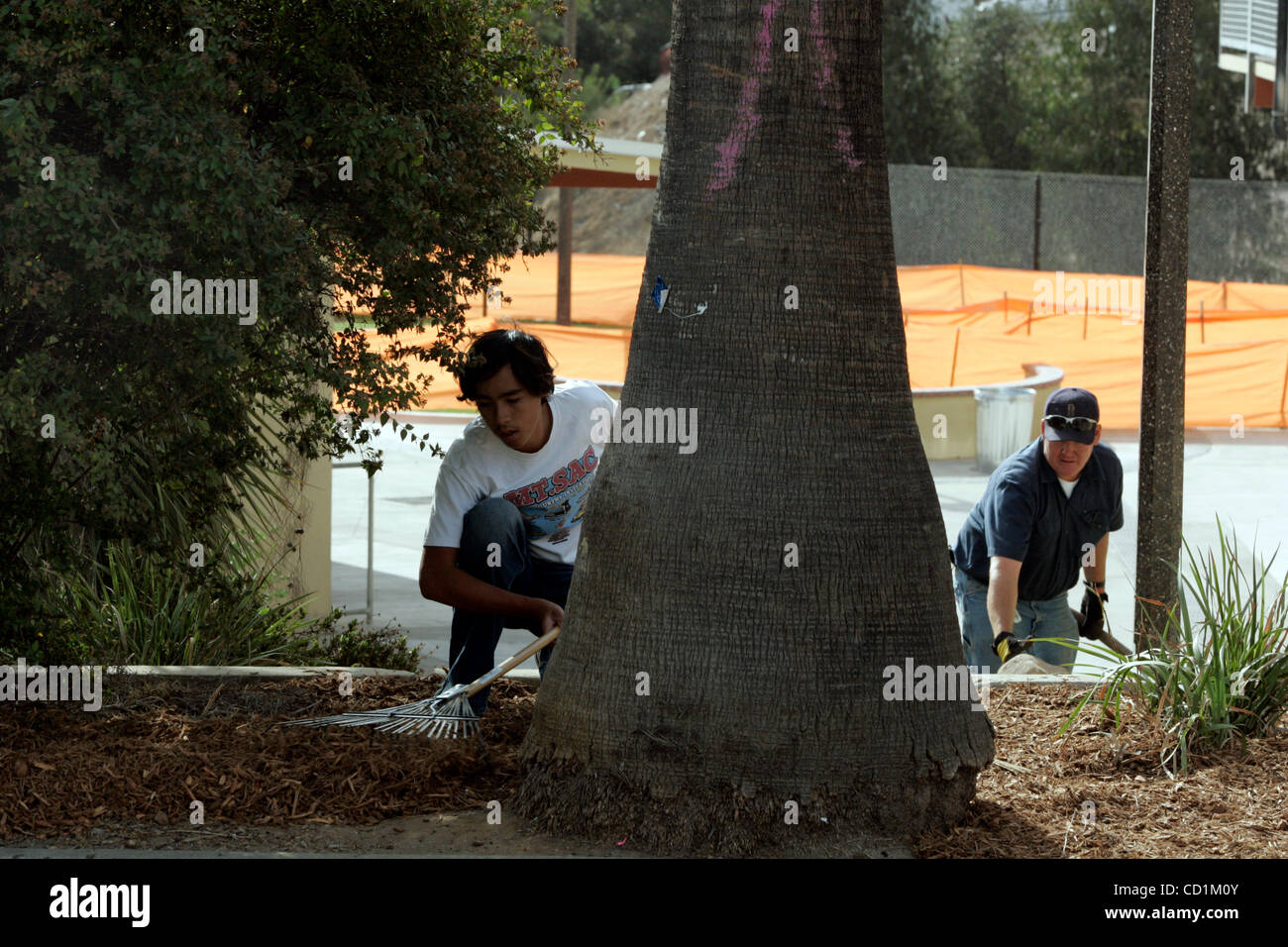 October 11, 2008 El Cajon, CA Grossmont High School volunteers CHRIS