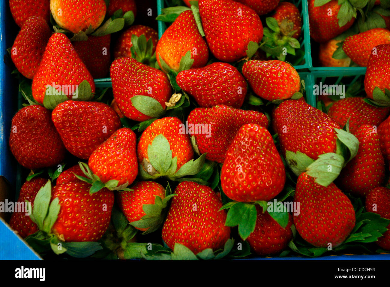 Plant city strawberry festival hires stock photography and images Alamy