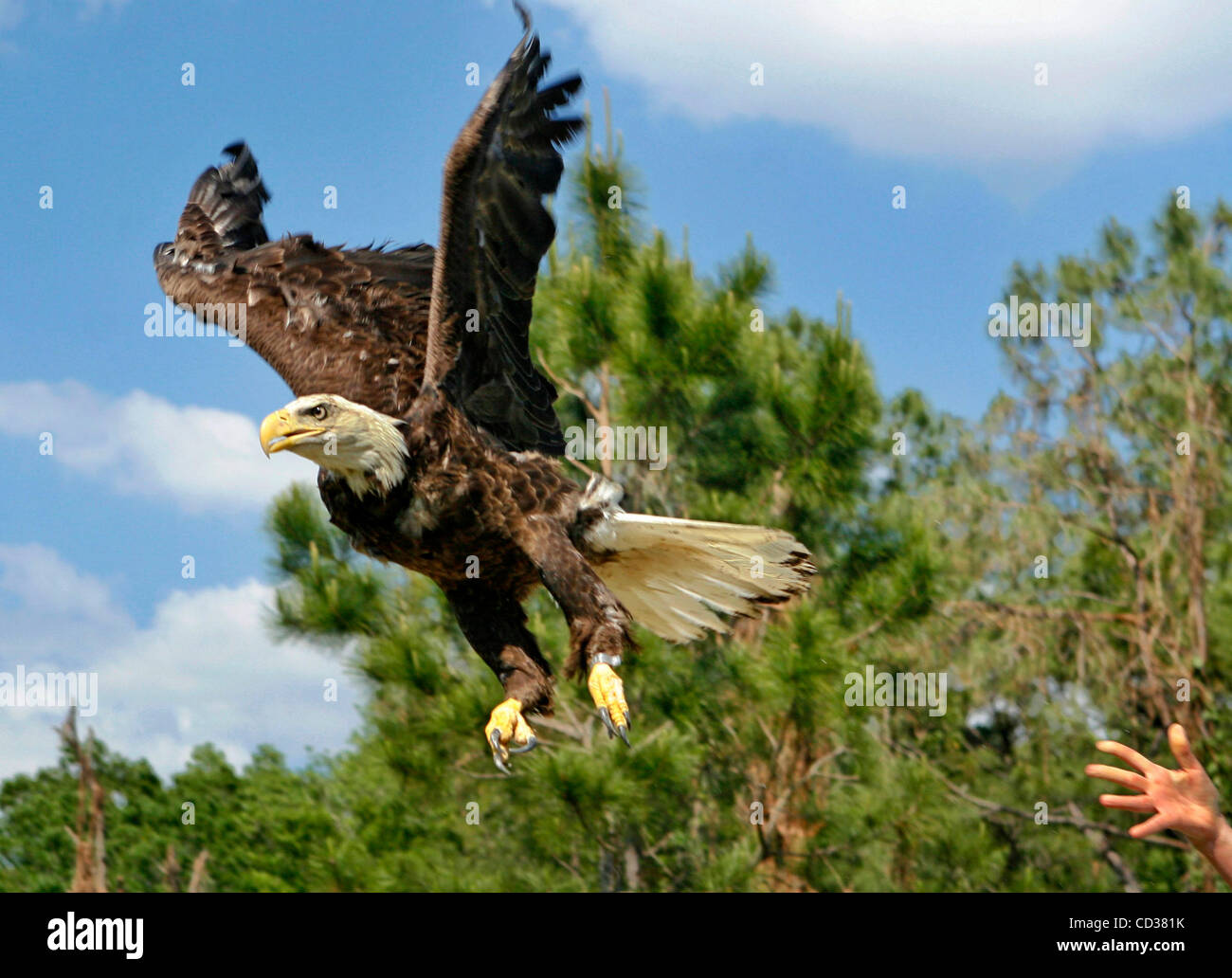 Audubon Center for Birds of Prey