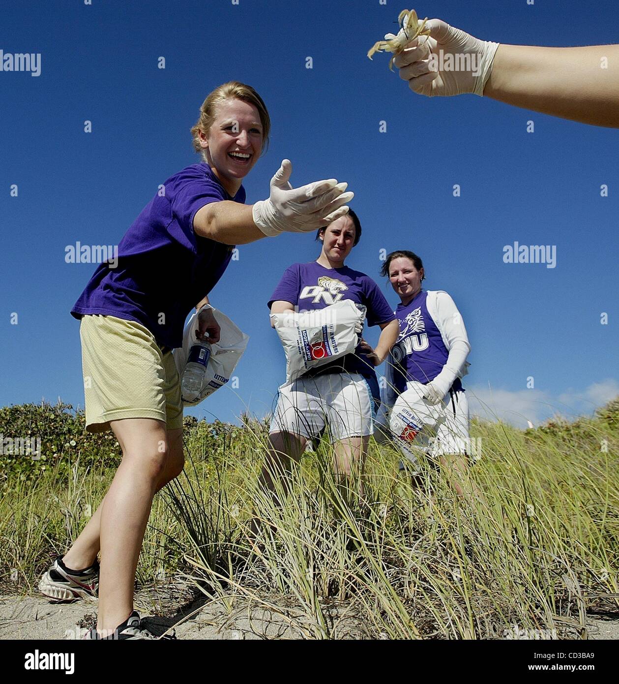 National christian college athletic association hires stock