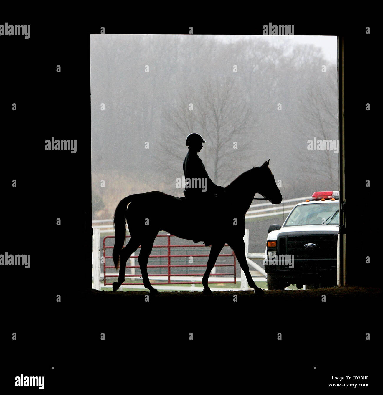 ELIZABETH FLORES â€¢ April 23, 2008 Maple