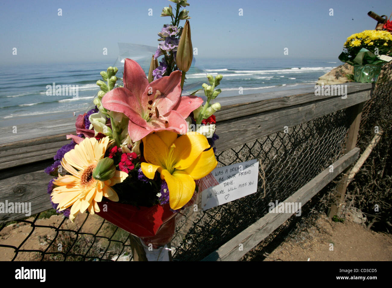 April 26, 2008,SOLONA BEACH, CAThe day after a fatal shark attack at