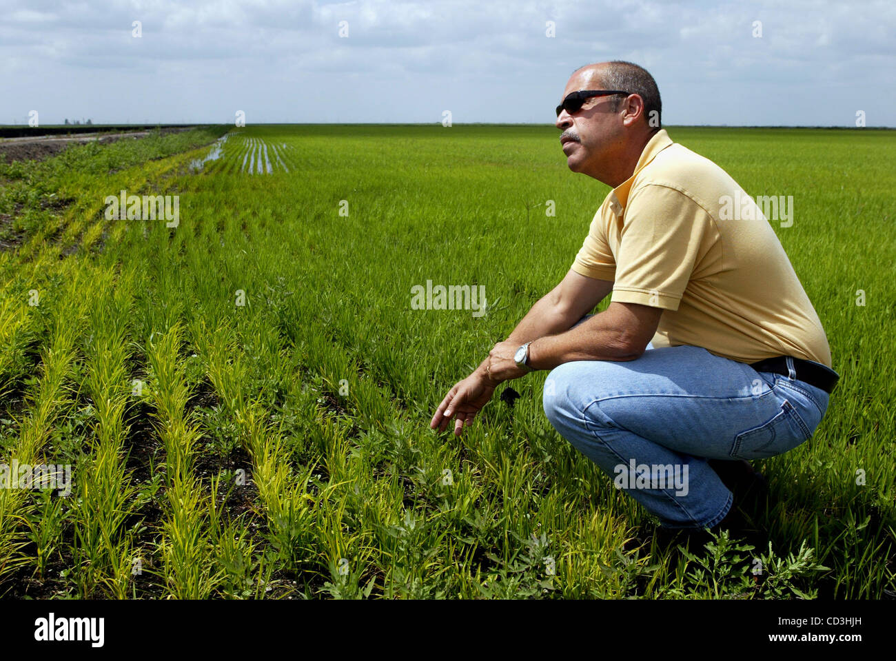 Belle glade florida hires stock photography and images Alamy